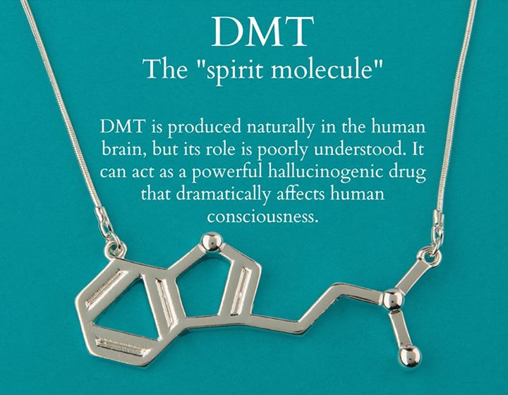 DMT I fucking love science