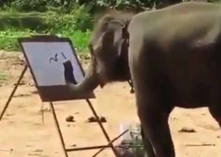 Elephant Drawing Elephant
