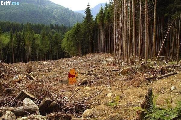 Disney meets Climate Change - Winnie the Pooh and the Forest