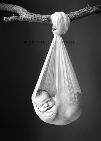 Newborn Photo Ideas - baby in a bag
