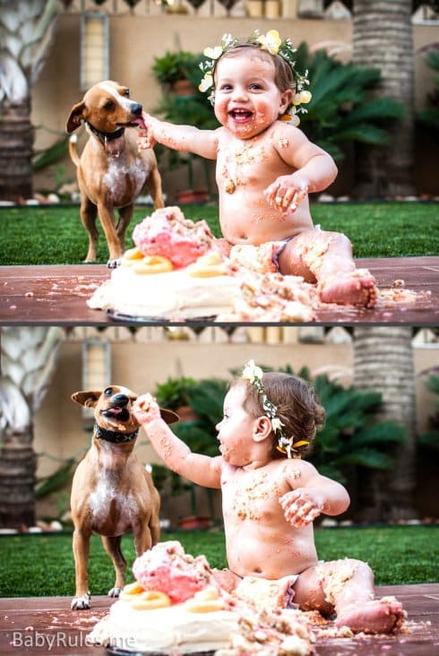 Parenting Photos 13 - Birthday Cake and Dog