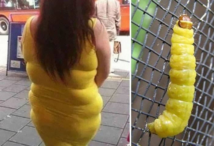 Similar to Each Other 5 - Yellow Dress and Caterpillar
