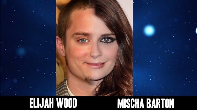 Celebrities Faces Look Alikes 5 Mischa Barton Elijah Wood Mix
