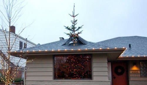 Funny Christmas Trees 1 Through the Roof 2