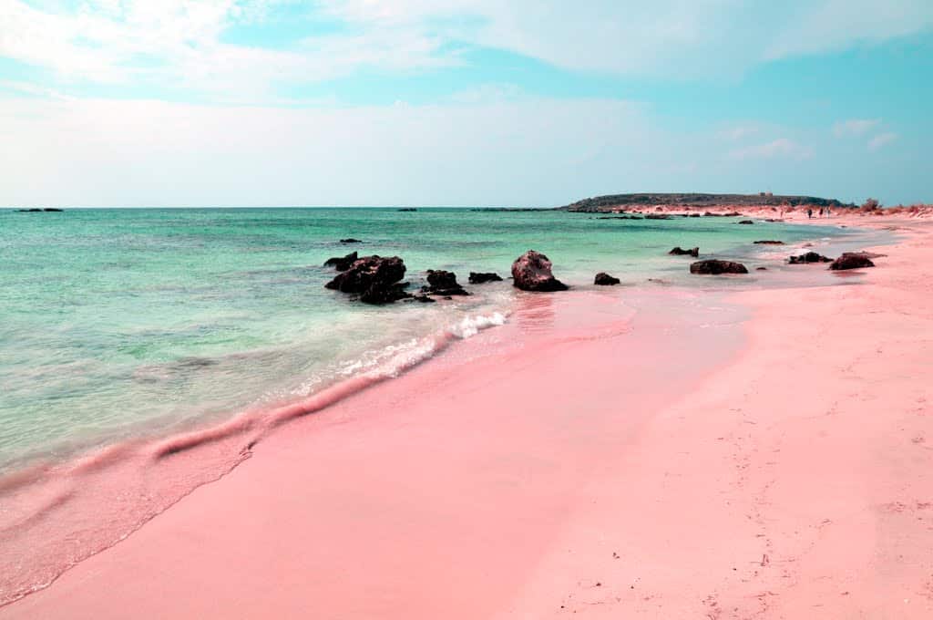 Special Beaches 2 Pink Sand Beach