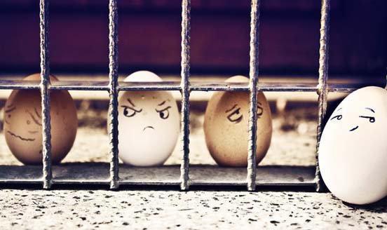 Funny Eggs 13 jail
