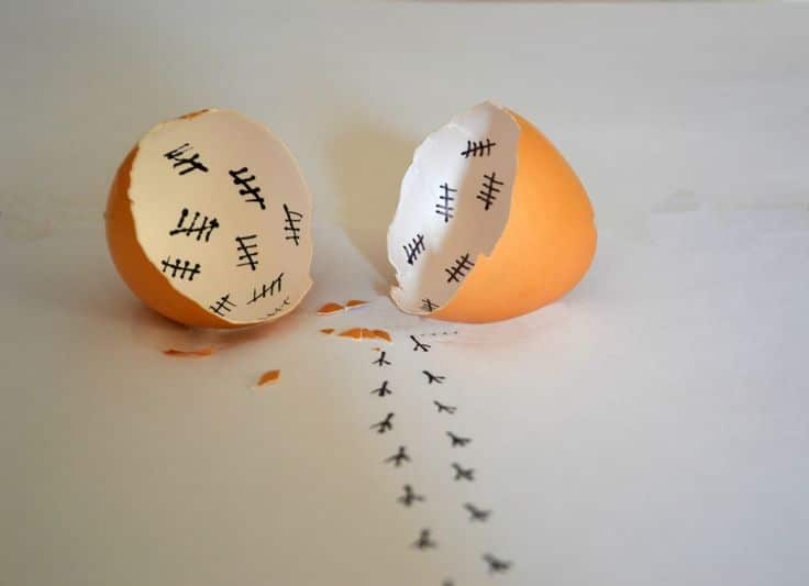 Funny Egg 23 another counting time and escape