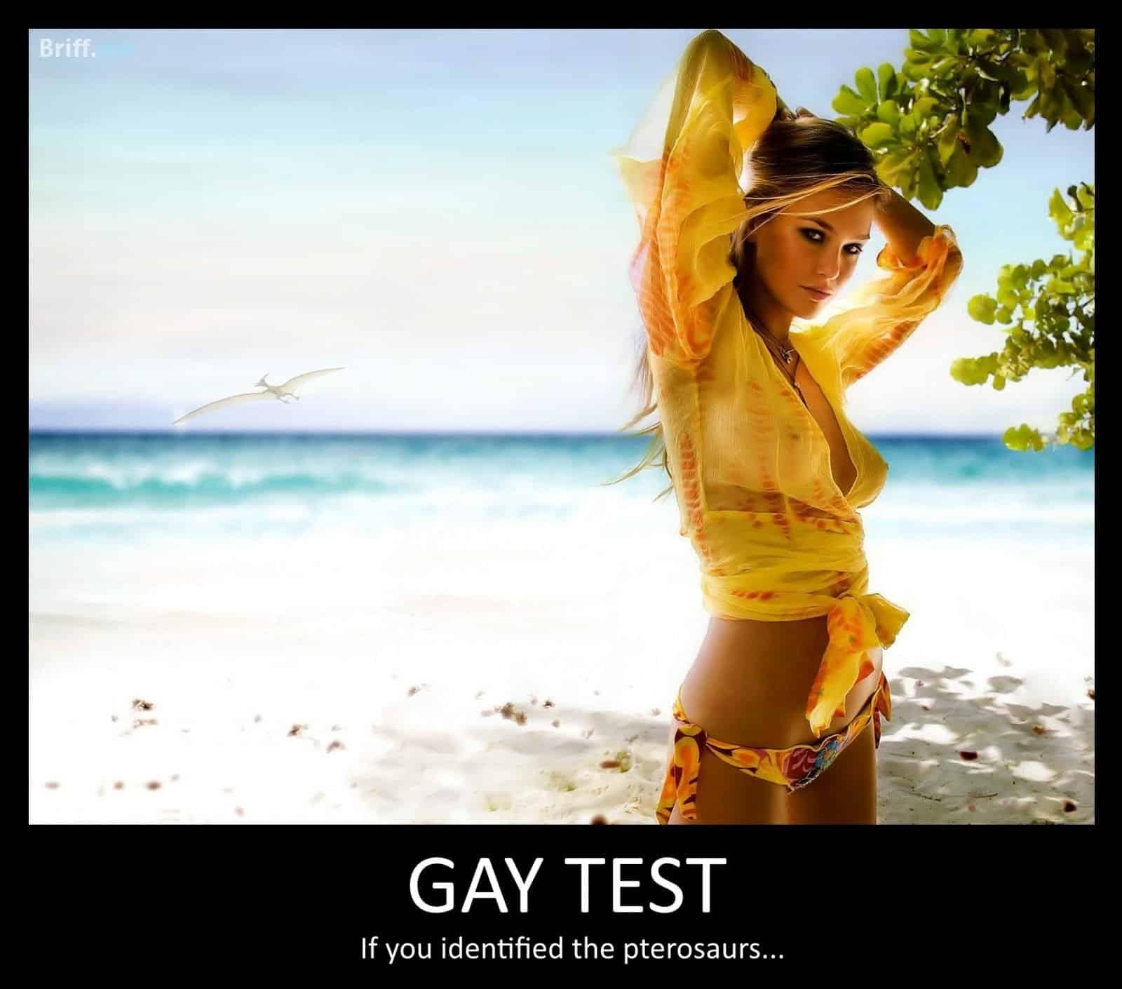 The Real Gay Test 112