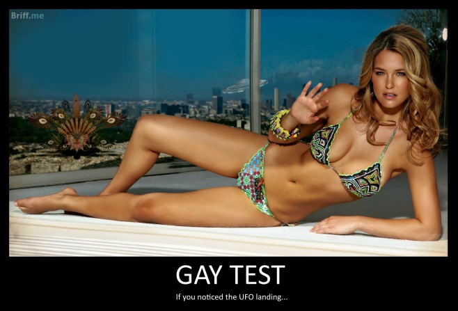 The Official Gay Test 14