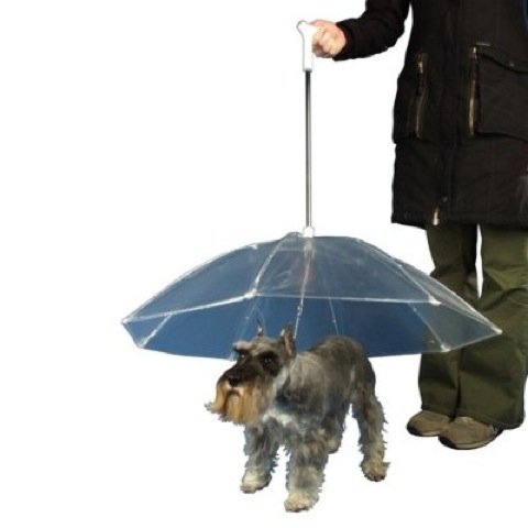 Dog Umbrellas
