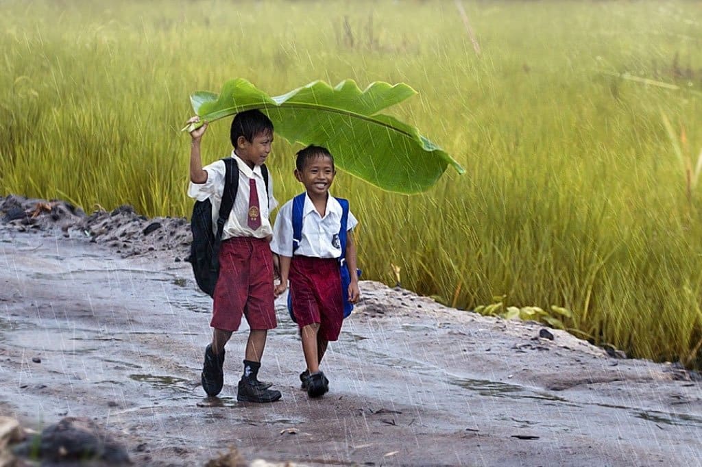 Natural Leaf Umbrella Kids