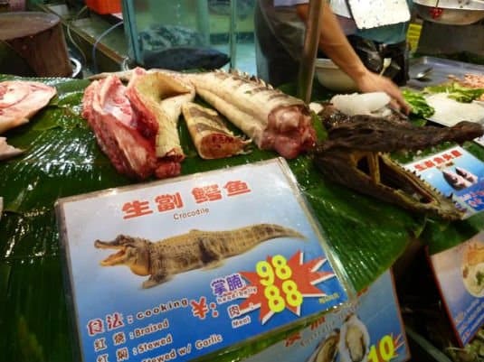 Weird Food - Scary Food 18 Crocodile
