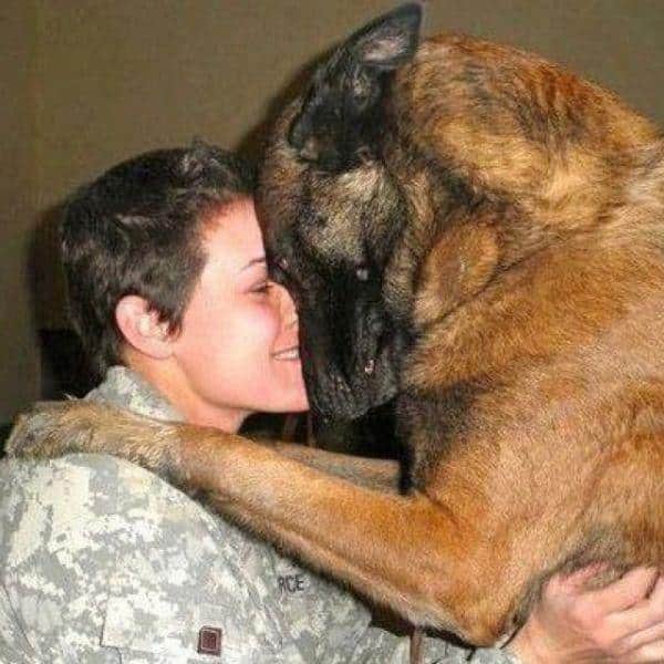 Adorable Dog Animal Hugs