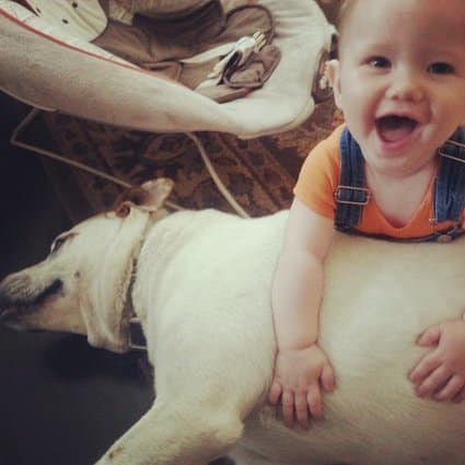 Amazing Baby and Dog