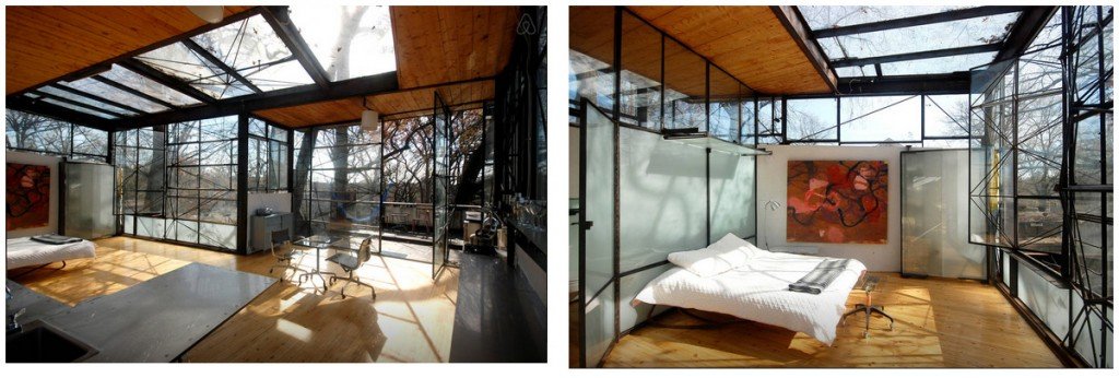 Glass Tree House 2 Epic AirBNB