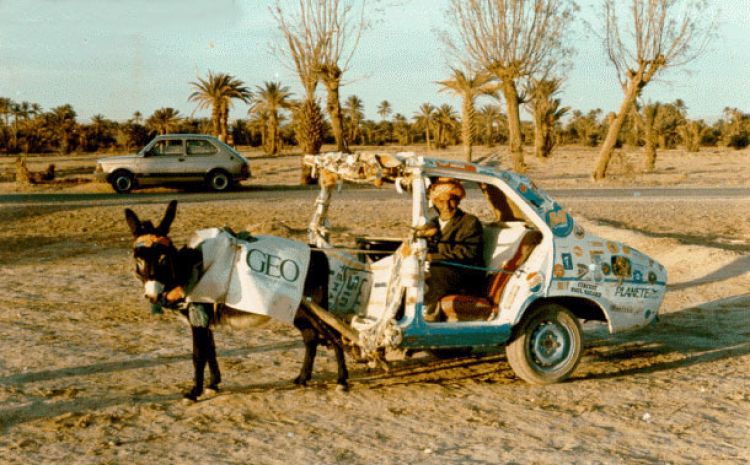 Horse Power Car 11 - Donkey Car
