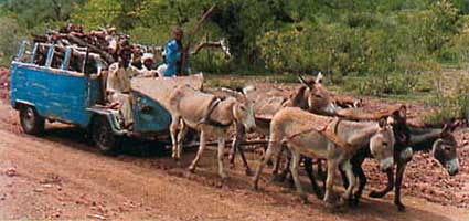 Horse Power Car 12 - Donkey Carriage