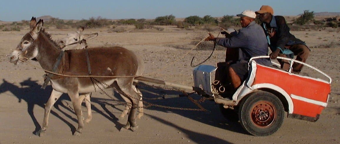Horse Power Car 13 - Donkey Truck Half Car