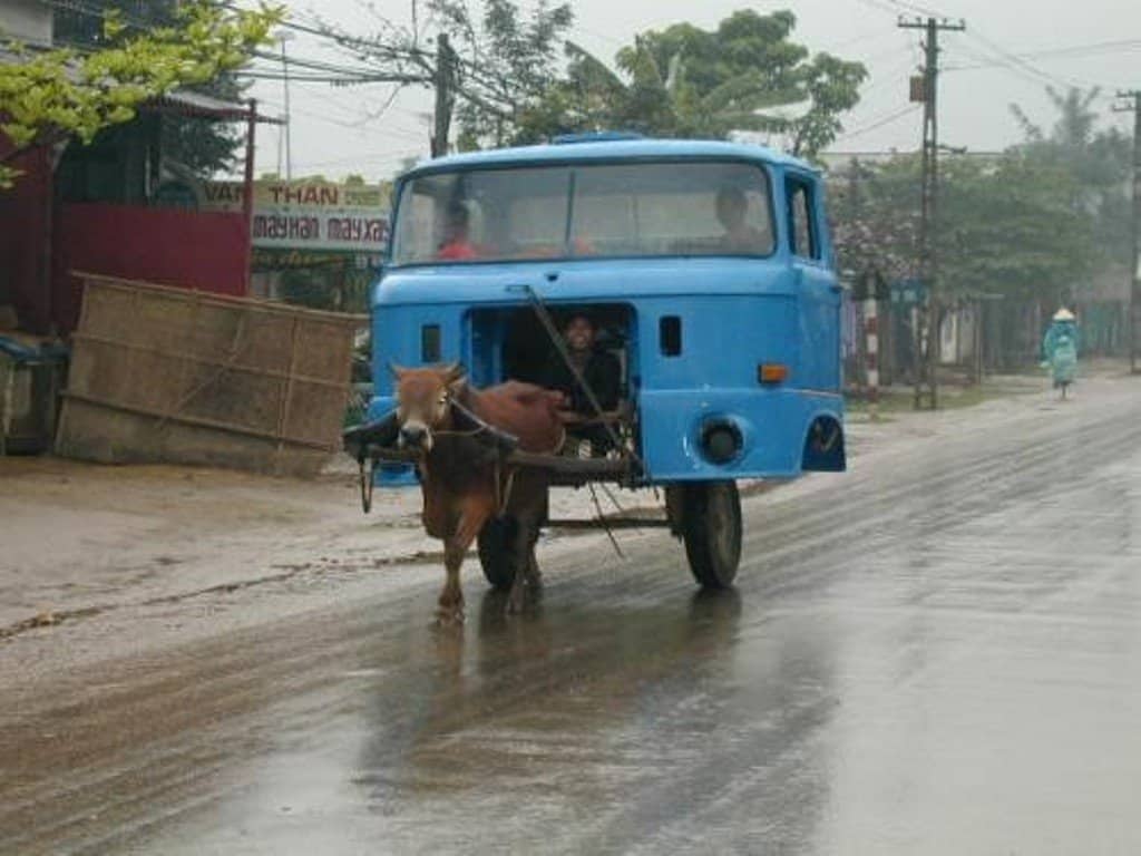 Horse Powered Car 15 - Cow Truck