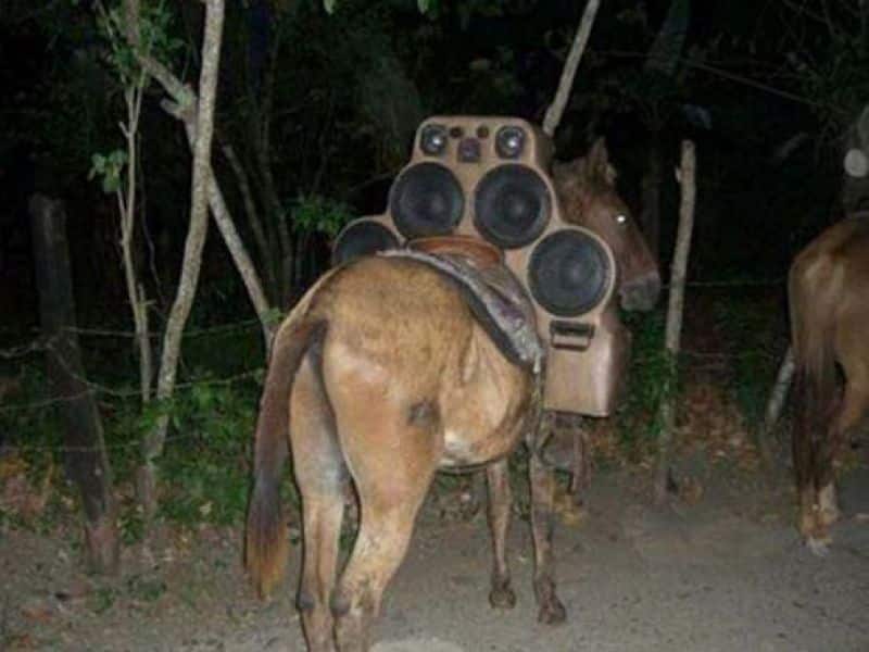 Horse Power Car 17 - Horse with Stereo Speakers
