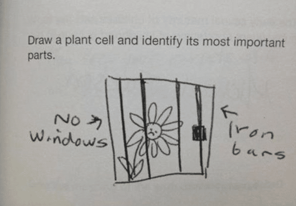 Plant Cell Epic Mistakes