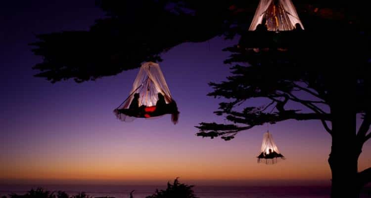 Tree camping in Germany High Place