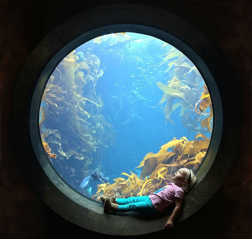 A Girl Stares In Wonder At An Aquarium Tank, Monterey Bay Aquarium, Monterey, California Photo Contest