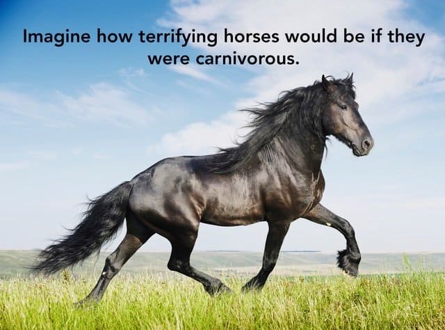 Carnivorous Horses Smart Idea