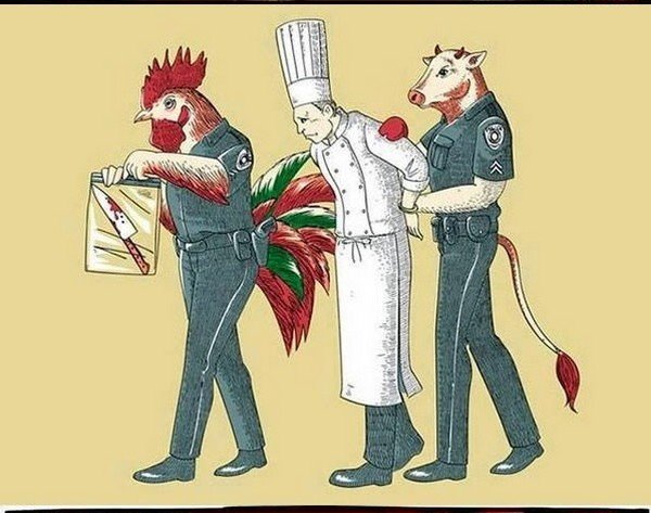 Chef Animal Right
