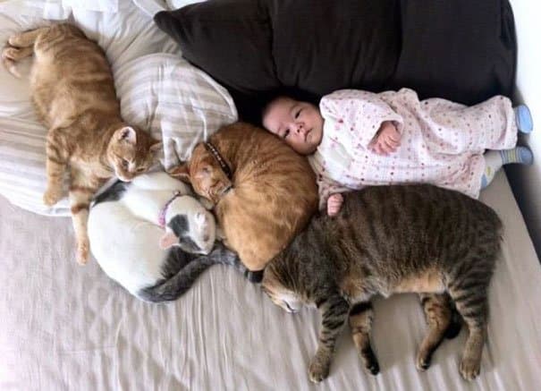 Kids & Cats