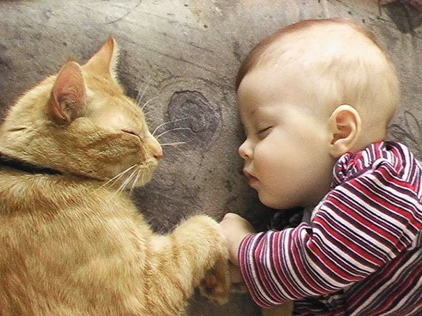 Kids & Cats