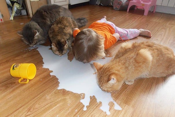 Kids & Cats