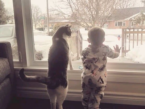 Kids & Cat