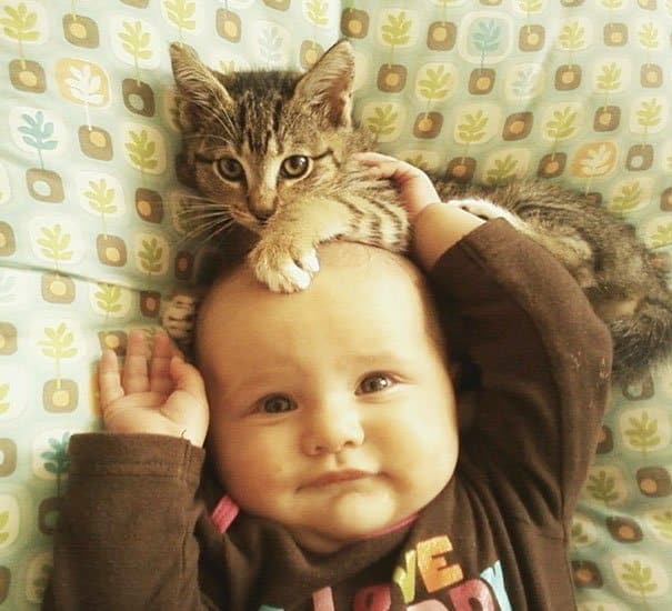 Kids & Cat