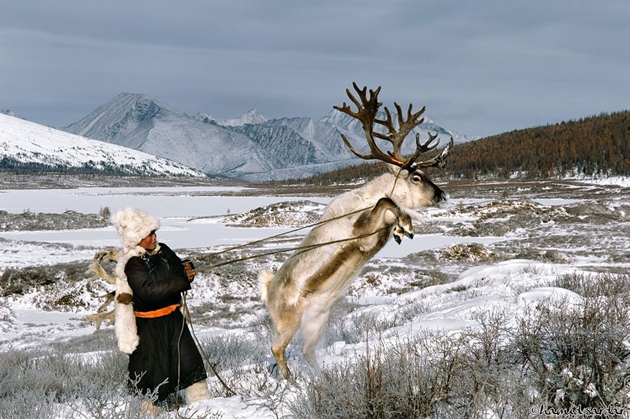 Reindeer Peoples