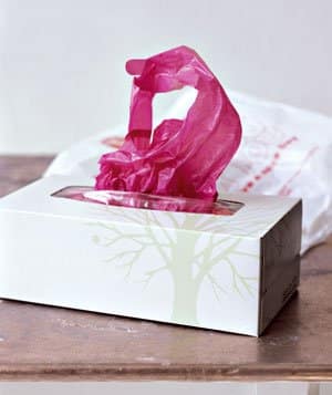 Reuse Old Kleenex Boxes as Bag Dispensers Upcycling