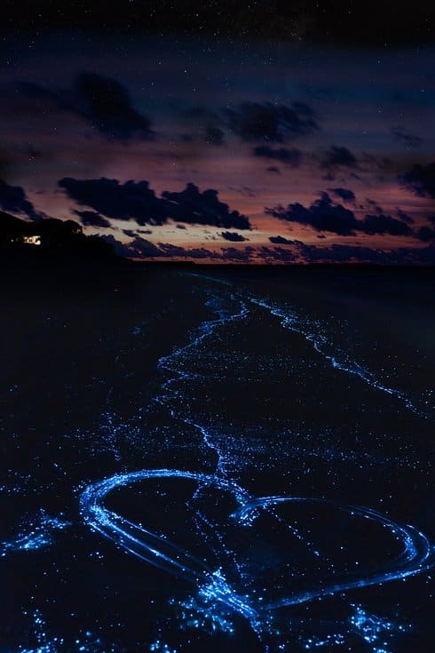 Sea of Stars on Vaadhoo Island in the Maldives 3 Unusual Places