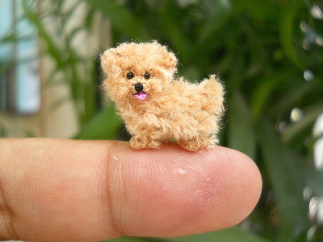 Adorable Dog Tiny Crochets