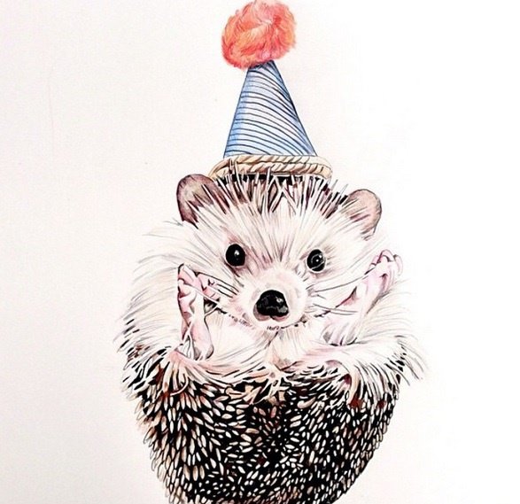 Birthday Art Hedgehog