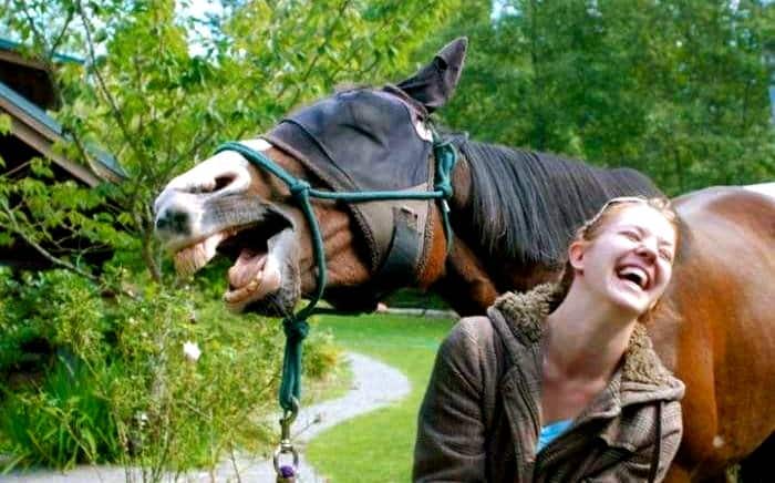 Both laughing Perfectly Timed Photo