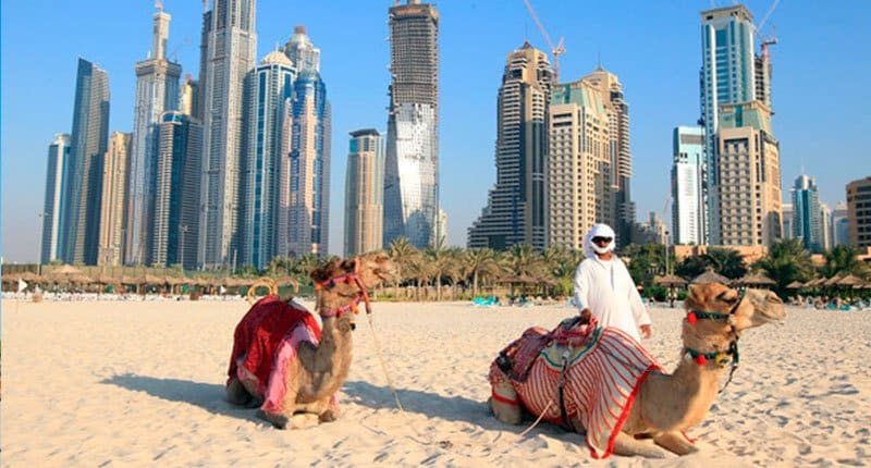 Camel rides on the beach 2 Crazy Dubai
