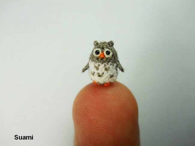 Confused Owl Tiny Crochets