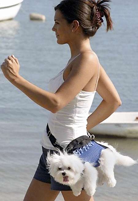 Fanny Pack for Dog Cool Invention