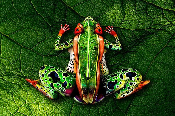 Frog Body Painting