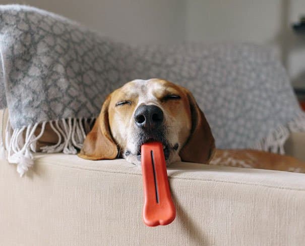 Giant Tongue Dog's Toys