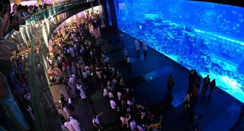 Gigantic aquariums in the shopping malls Crazy Dubai