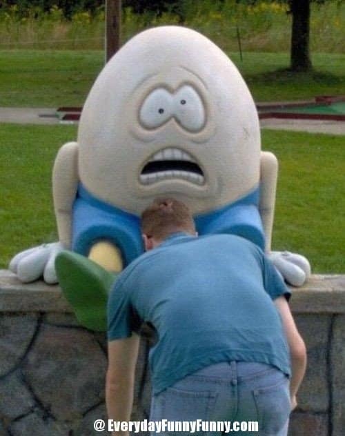 Humpty Dumpty Perfectly Timed Photo