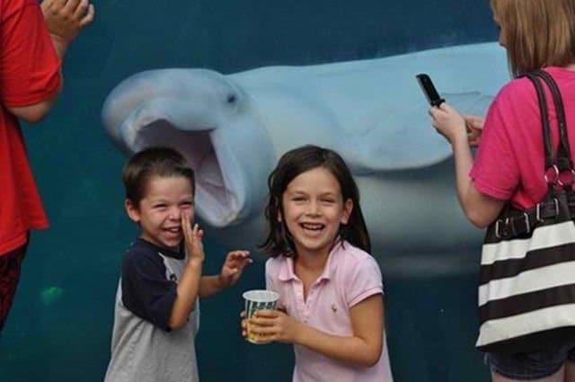 I can eat you any moment!! funny photoboms