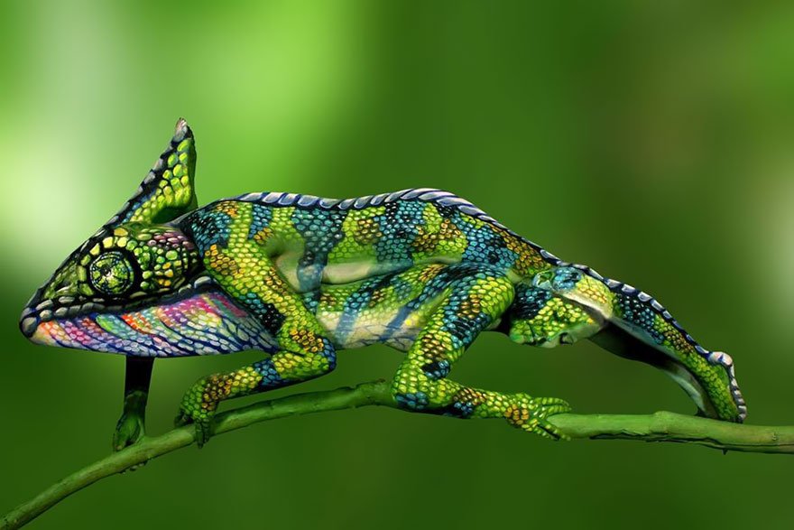 Look how Chameleon turns into two woman Body Painting