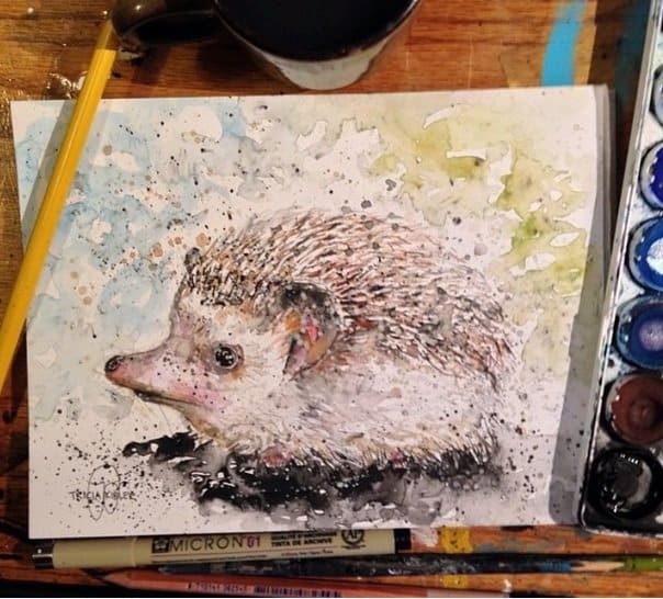 Magnificent artwork Hedgehog